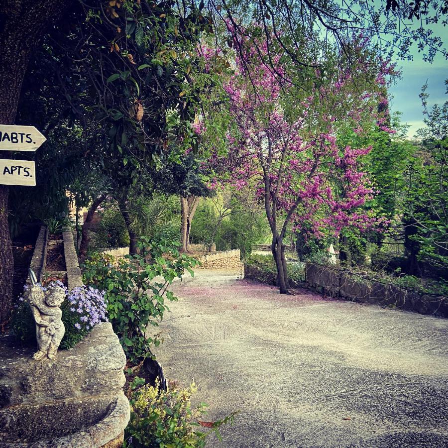 Villa Ignacia B&B - Naturaleza Entre Ronda Y Setenil Arriate Εξωτερικό φωτογραφία