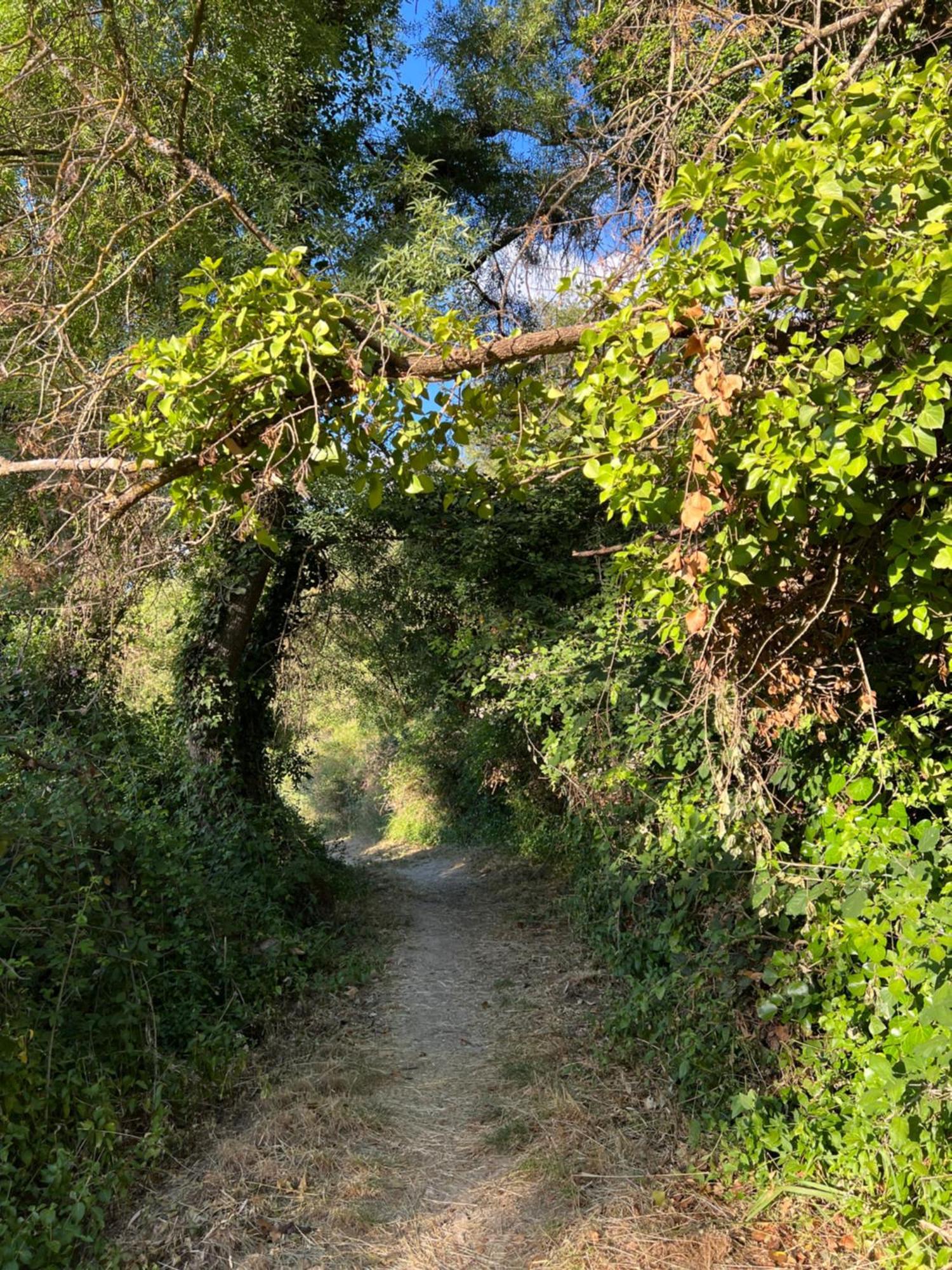 Villa Ignacia B&B - Naturaleza Entre Ronda Y Setenil Arriate Εξωτερικό φωτογραφία