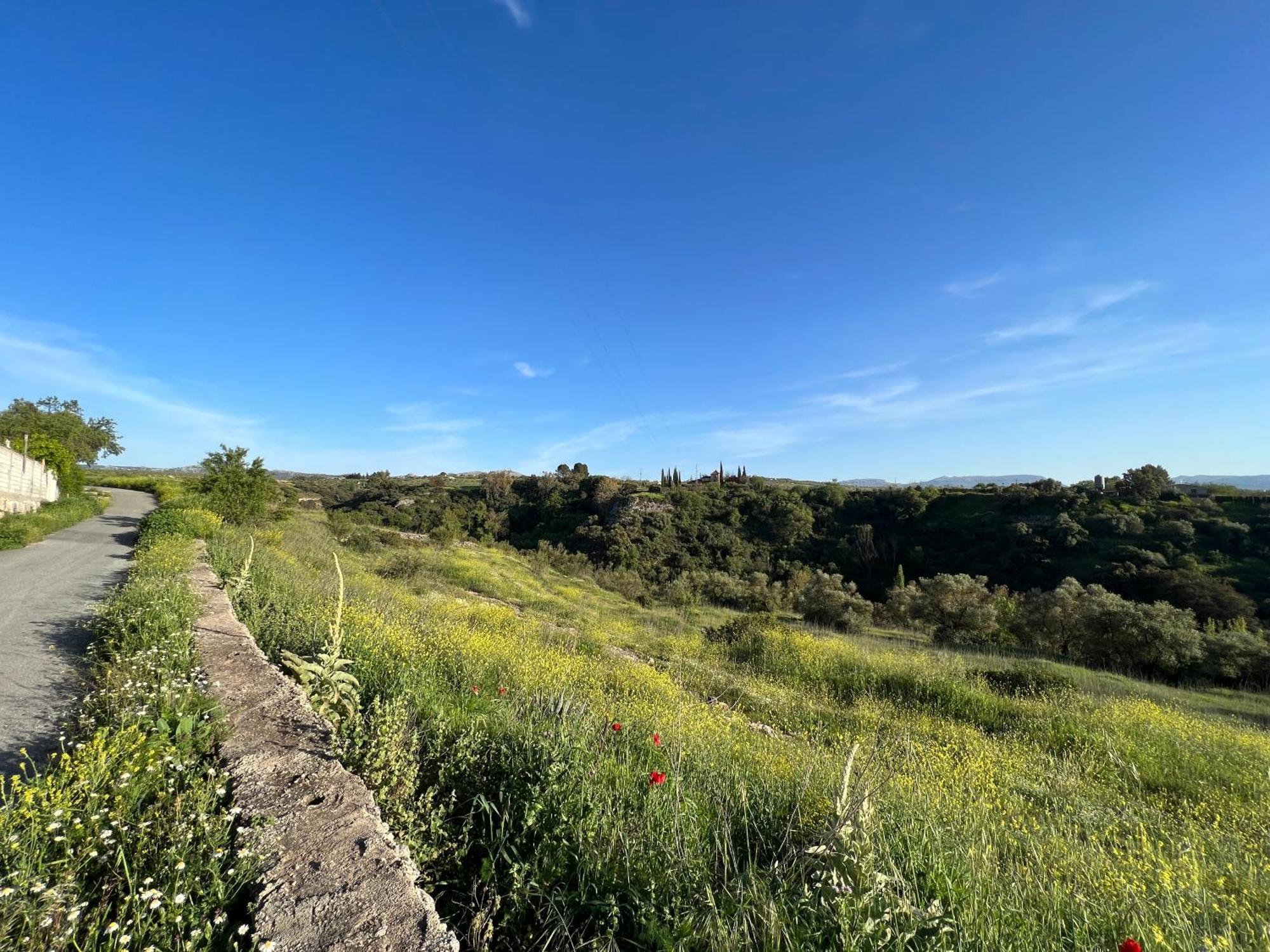 Villa Ignacia B&B - Naturaleza Entre Ronda Y Setenil Arriate Εξωτερικό φωτογραφία