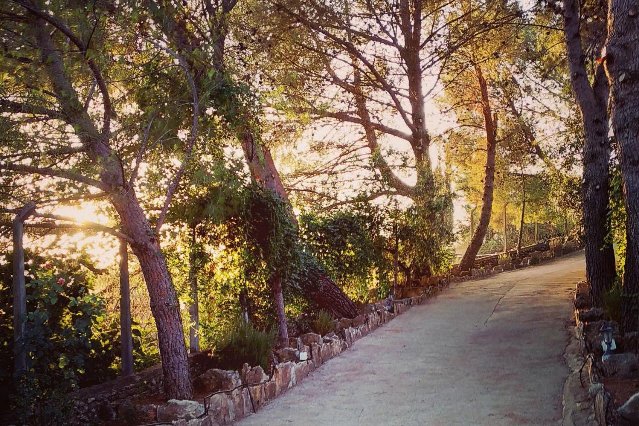 Villa Ignacia B&B - Naturaleza Entre Ronda Y Setenil Arriate Εξωτερικό φωτογραφία