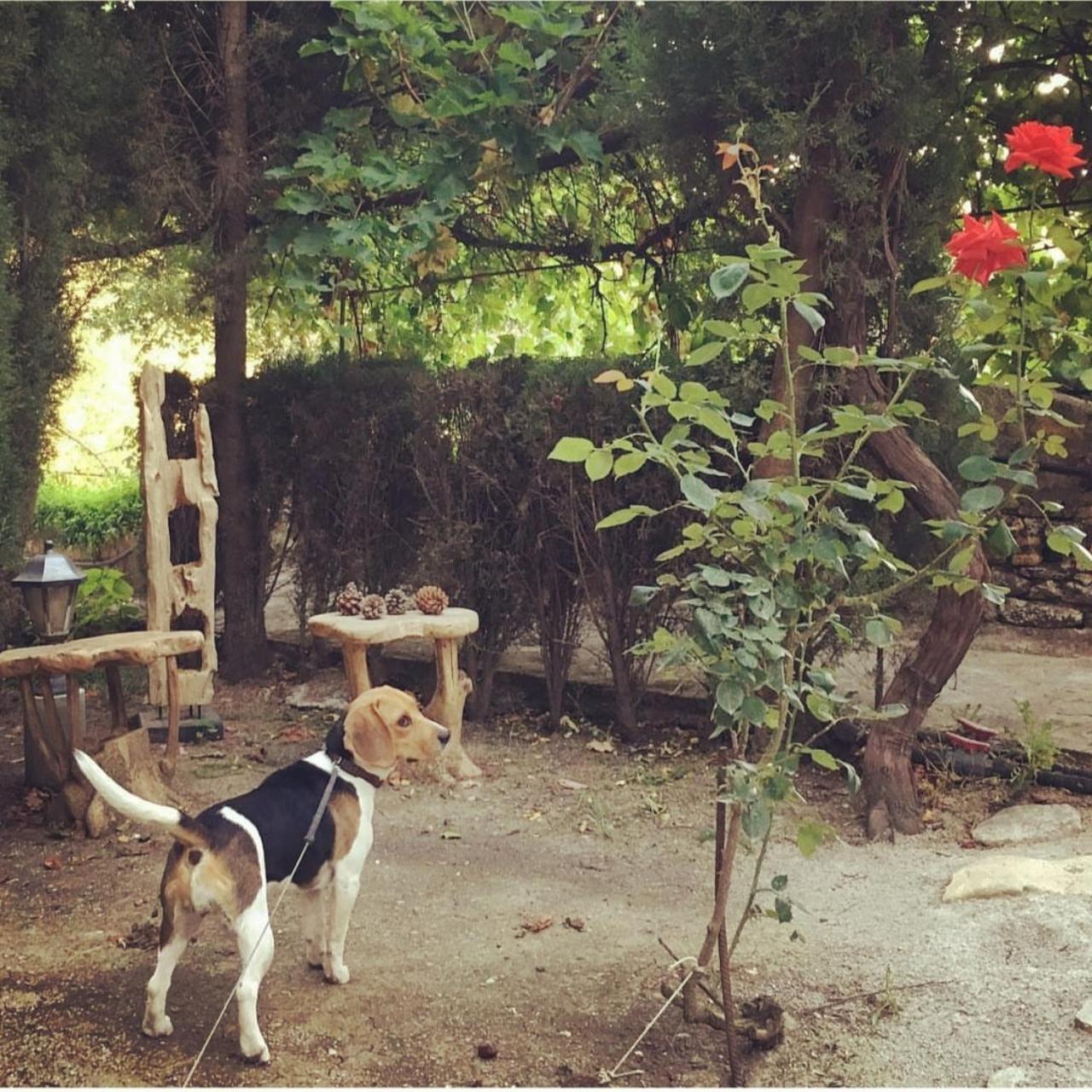 Villa Ignacia B&B - Naturaleza Entre Ronda Y Setenil Arriate Εξωτερικό φωτογραφία